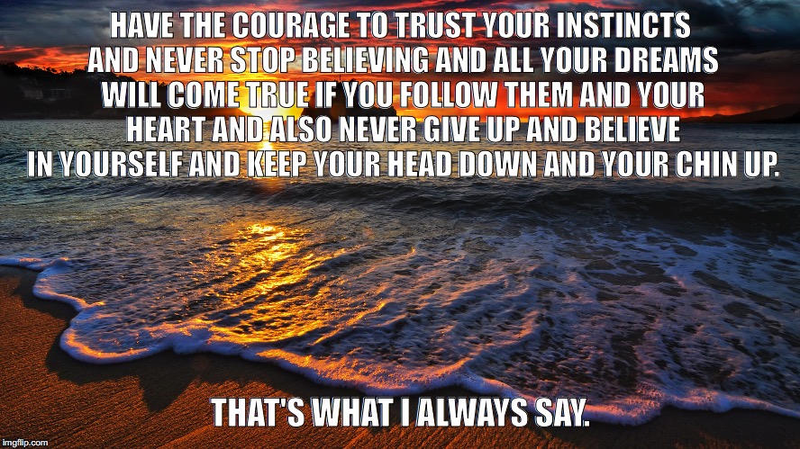 Inspirational | HAVE THE COURAGE TO TRUST YOUR INSTINCTS AND NEVER STOP BELIEVING AND ALL YOUR DREAMS WILL COME TRUE IF YOU FOLLOW THEM AND YOUR HEART AND ALSO NEVER GIVE UP AND BELIEVE IN YOURSELF AND KEEP YOUR HEAD DOWN AND YOUR CHIN UP. THAT'S WHAT I ALWAYS SAY. | image tagged in inspirational quote,inspirational memes | made w/ Imgflip meme maker