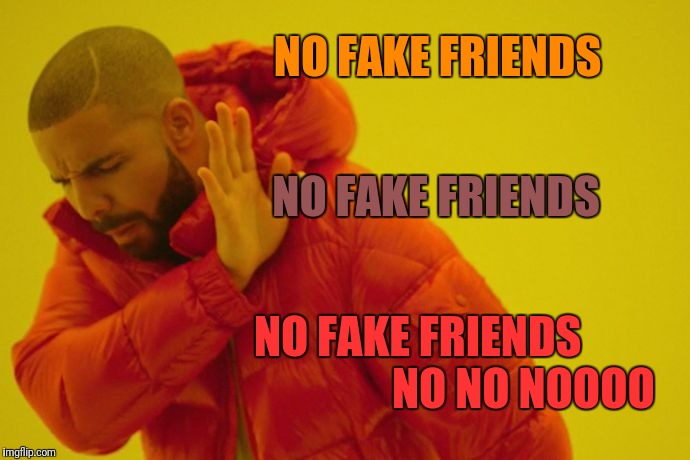 Drake hotline bling | NO FAKE FRIENDS; NO FAKE FRIENDS; NO FAKE FRIENDS                        NO NO NOOOO | image tagged in drake hotline bling | made w/ Imgflip meme maker