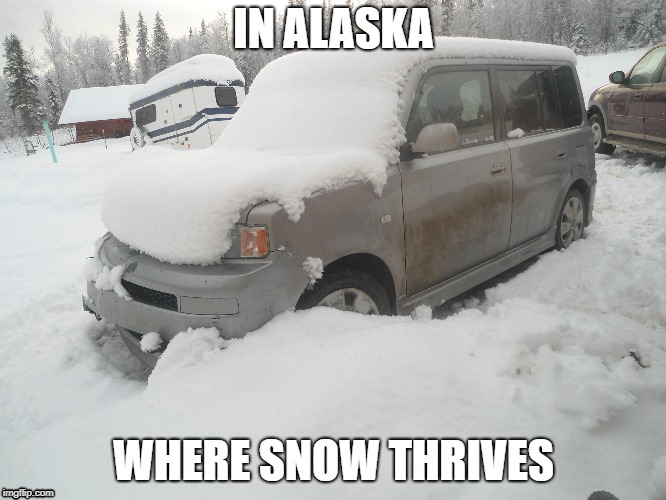 alaska | IN ALASKA; WHERE SNOW THRIVES | image tagged in snow | made w/ Imgflip meme maker