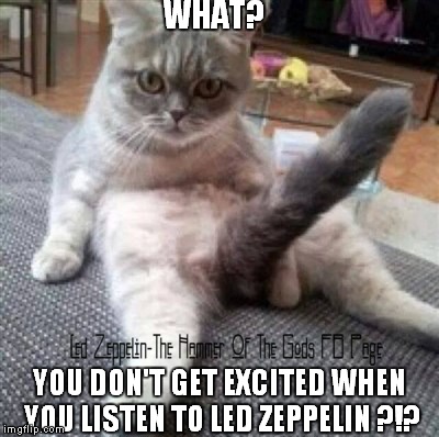 image tagged in led zeppelin,funny memes,classic rock | made w/ Imgflip meme maker