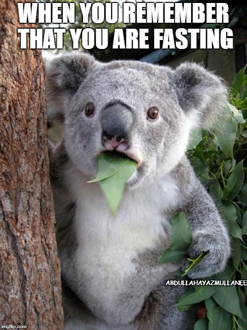 Surprised Koala | WHEN YOU REMEMBER THAT YOU ARE FASTING; ABDULLAHAYAZMULLANEE | image tagged in memes,surprised koala | made w/ Imgflip meme maker