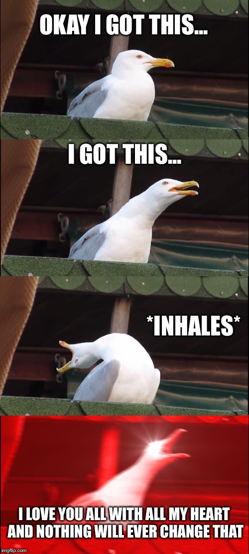 Inhaling Seagull Meme | OKAY I GOT THIS... I GOT THIS... *INHALES*; I LOVE YOU ALL WITH ALL MY HEART AND NOTHING WILL EVER CHANGE THAT | image tagged in memes,inhaling seagull | made w/ Imgflip meme maker