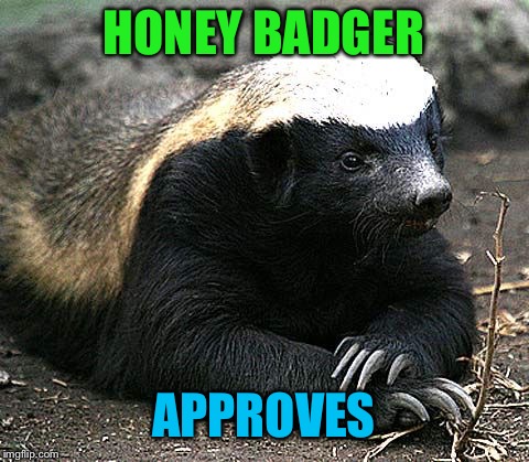 HONEY BADGER APPROVES | made w/ Imgflip meme maker