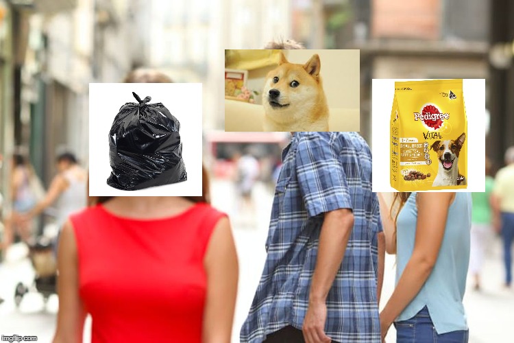 Dogs logic | image tagged in memes,distracted boyfriend | made w/ Imgflip meme maker