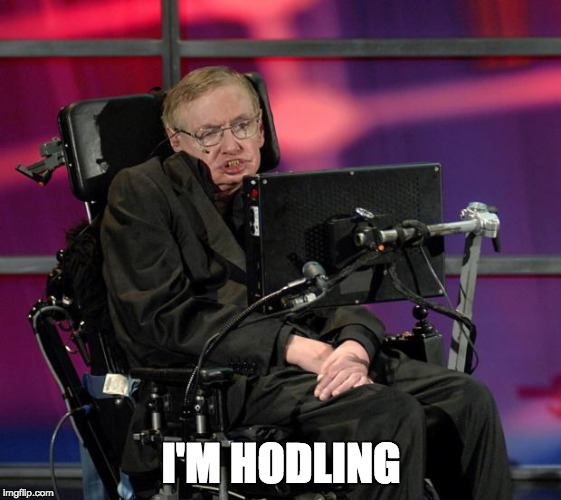 Stephen Hawking | I'M HODLING | image tagged in stephen hawking | made w/ Imgflip meme maker