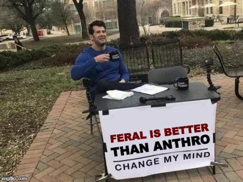 Change My Mind Meme | FERAL IS BETTER; THAN ANTHRO | image tagged in change my mind | made w/ Imgflip meme maker