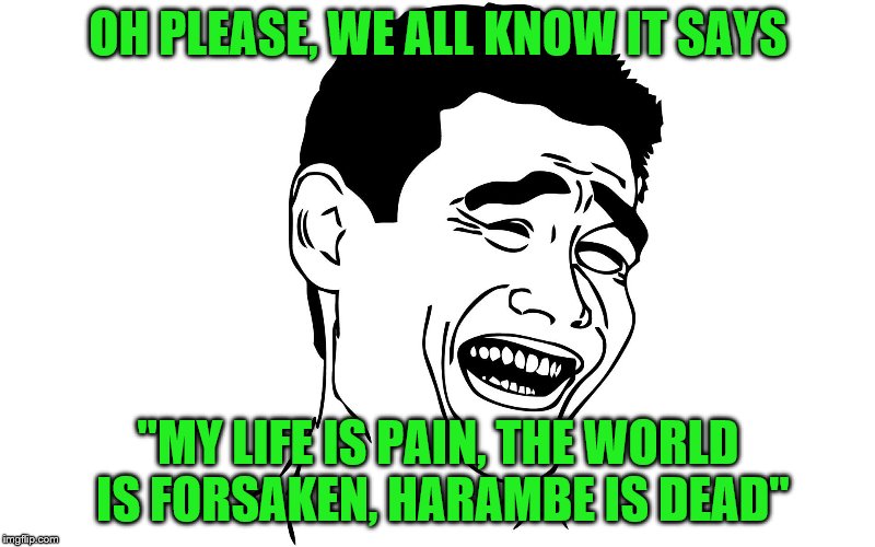 OH PLEASE, WE ALL KNOW IT SAYS "MY LIFE IS PAIN, THE WORLD IS FORSAKEN, HARAMBE IS DEAD" | made w/ Imgflip meme maker