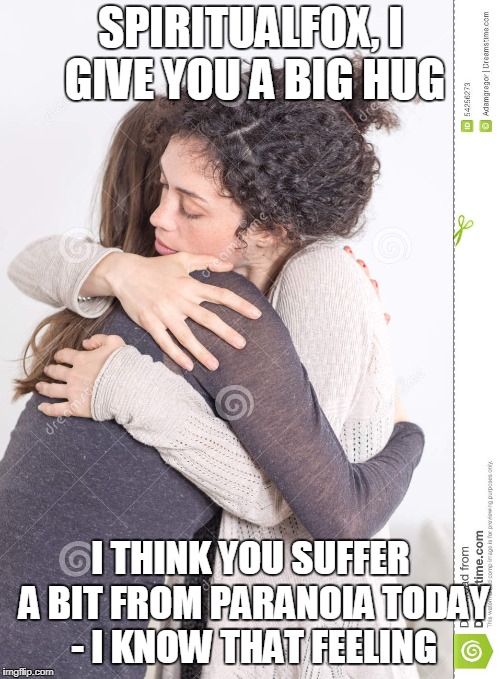 SPIRITUALFOX, I GIVE YOU A BIG HUG I THINK YOU SUFFER A BIT FROM PARANOIA TODAY - I KNOW THAT FEELING | made w/ Imgflip meme maker