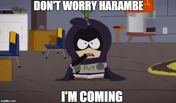 RIP harambe | DON'T WORRY HARAMBE; I'M COMING | image tagged in harambe,south parth kenny,suicide meme | made w/ Imgflip meme maker