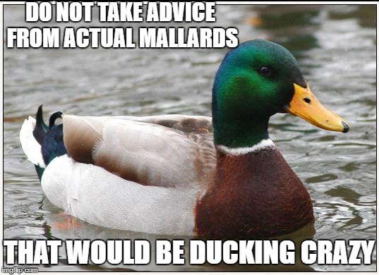 Actual Advice Mallard | DO NOT TAKE ADVICE FROM ACTUAL MALLARDS; THAT WOULD BE DUCKING CRAZY | image tagged in memes,actual advice mallard,funny,funny memes,duck | made w/ Imgflip meme maker