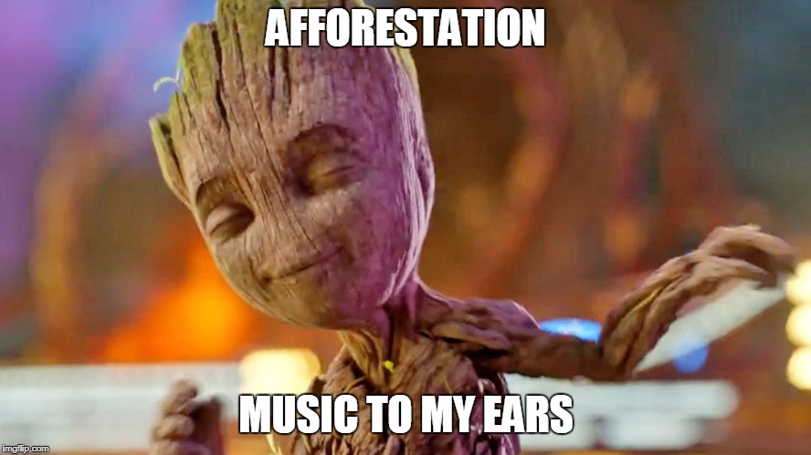 AFFORESTATION; MUSIC TO MY EARS | image tagged in baby groot,deforestation,afforestation | made w/ Imgflip meme maker