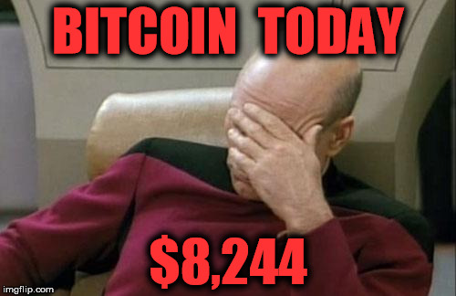 Captain Picard Facepalm Meme | BITCOIN  TODAY; $8,244 | image tagged in memes,captain picard facepalm | made w/ Imgflip meme maker