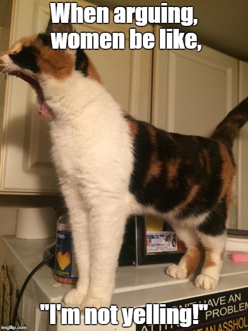 Never argue with a woman, you have nothing to gain... | When arguing, women be like, "I'm not yelling!" | image tagged in cats,women,argue | made w/ Imgflip meme maker