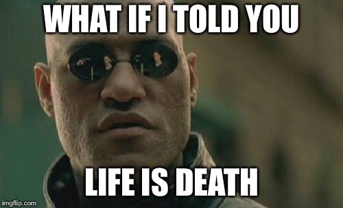 Matrix Morpheus Meme | WHAT IF I TOLD YOU; LIFE IS DEATH | image tagged in memes,matrix morpheus | made w/ Imgflip meme maker