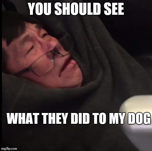 United Airlines Asian doc | YOU SHOULD SEE; WHAT THEY DID TO MY DOG | image tagged in united airlines asian doc,memes,dog memes | made w/ Imgflip meme maker