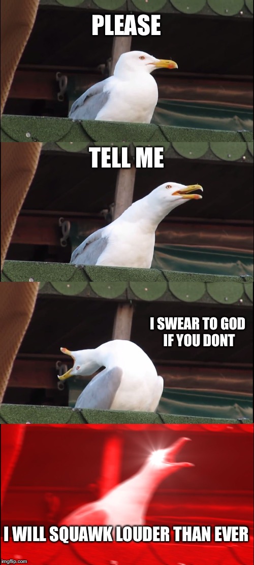 Inhaling Seagull | PLEASE; TELL ME; I SWEAR TO GOD IF YOU DONT; I WILL SQUAWK LOUDER THAN EVER | image tagged in memes,inhaling seagull | made w/ Imgflip meme maker