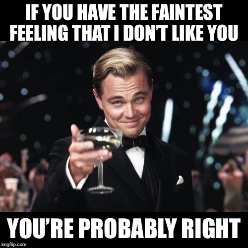 Leonardo DiCaprio Toast | IF YOU HAVE THE FAINTEST FEELING THAT I DON’T LIKE YOU; YOU’RE PROBABLY RIGHT | image tagged in leonardo dicaprio toast | made w/ Imgflip meme maker