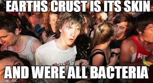 Sudden Clarity Clarence Meme | EARTHS CRUST IS ITS SKIN; AND WERE ALL BACTERIA | image tagged in memes,sudden clarity clarence | made w/ Imgflip meme maker