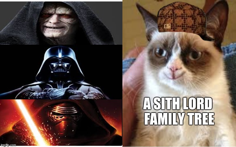 Who Would Win? Meme | A SITH LORD FAMILY TREE | image tagged in memes,who would win,scumbag | made w/ Imgflip meme maker