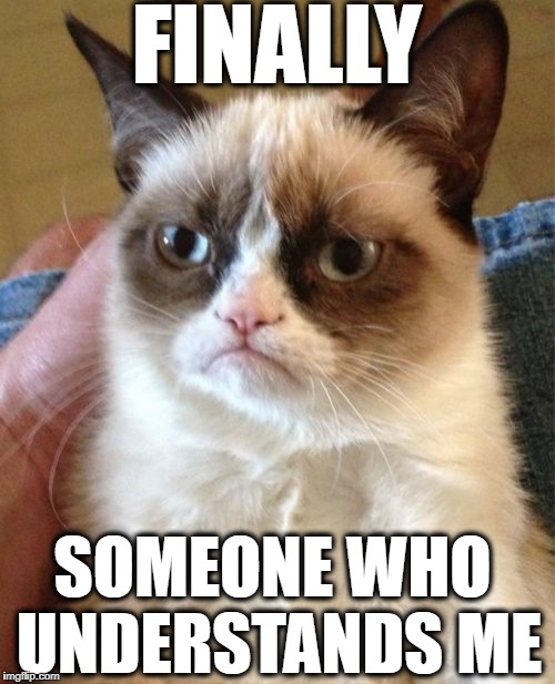 Grumpy Cat Meme | FINALLY SOMEONE WHO UNDERSTANDS ME | image tagged in memes,grumpy cat | made w/ Imgflip meme maker