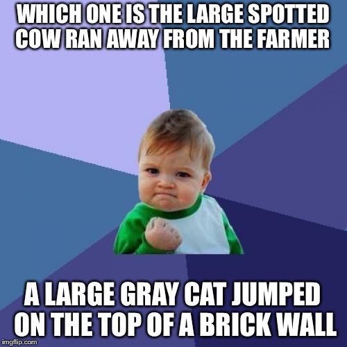 Success Kid Meme | WHICH ONE IS THE LARGE SPOTTED COW RAN AWAY FROM THE FARMER; A LARGE GRAY CAT JUMPED ON THE TOP OF A BRICK WALL | image tagged in memes,success kid | made w/ Imgflip meme maker