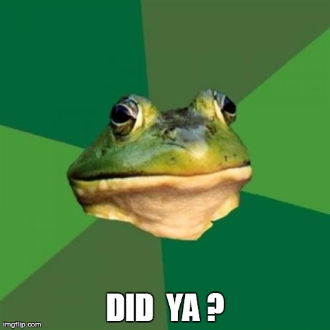 Foul Bachelor Frog Meme | DID  YA ? | image tagged in memes,foul bachelor frog | made w/ Imgflip meme maker