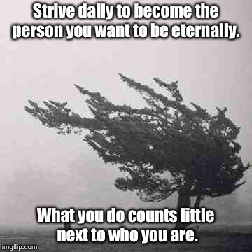 Strive daily to become the person you want to be eternally. What you do counts little next to who you are. | image tagged in tree | made w/ Imgflip meme maker