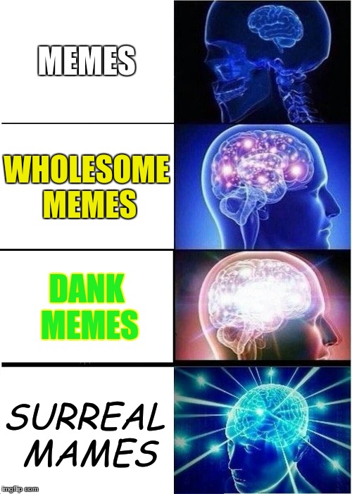 Expanding Brain Meme | MEMES; WHOLESOME MEMES; DANK MEMES; SURREAL MAMES | image tagged in memes,expanding brain | made w/ Imgflip meme maker