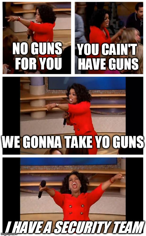 Oprah You Get A Car Everybody Gets A Car Meme | YOU CAIN'T HAVE GUNS; NO GUNS FOR YOU; WE GONNA TAKE YO GUNS; I HAVE A SECURITY TEAM | image tagged in memes,oprah you get a car everybody gets a car | made w/ Imgflip meme maker