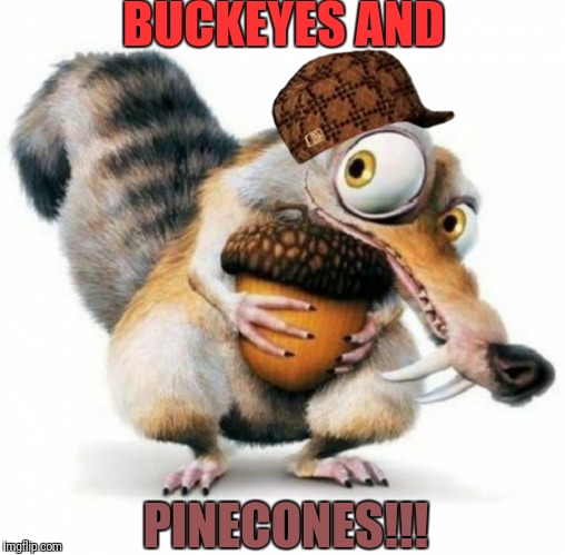 BUCKEYES AND; PINECONES!!! | image tagged in funny memes | made w/ Imgflip meme maker