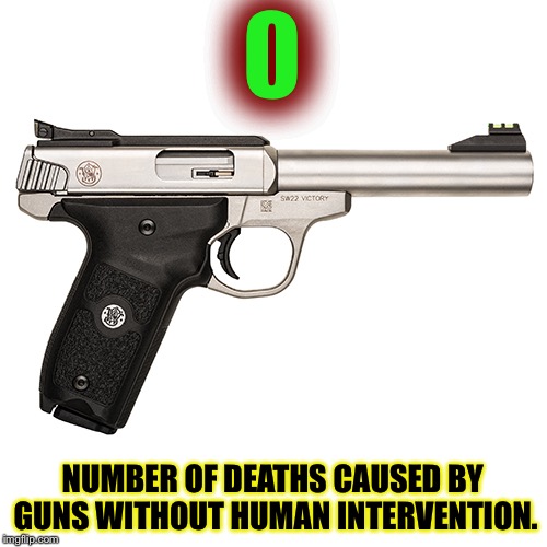 Humans are the problem. | NUMBER OF DEATHS CAUSED BY GUNS WITHOUT HUMAN INTERVENTION. | image tagged in gun,mxm,truth,memes | made w/ Imgflip meme maker
