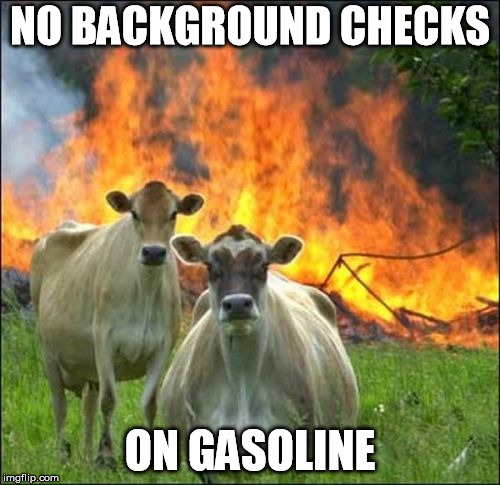 Evil Cows Meme | NO BACKGROUND CHECKS; ON GASOLINE | image tagged in memes,evil cows | made w/ Imgflip meme maker