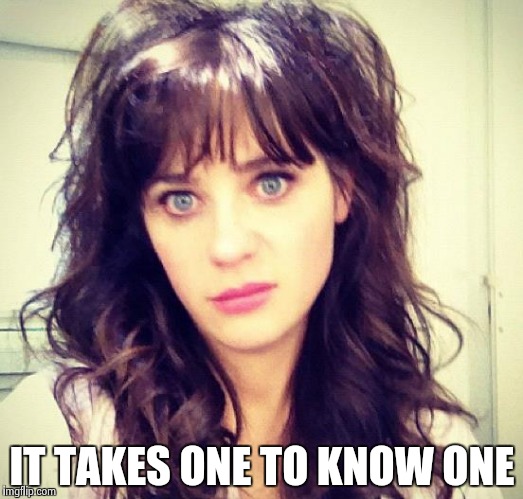 Zooey Deschanel | IT TAKES ONE TO KNOW ONE | image tagged in zooey deschanel | made w/ Imgflip meme maker
