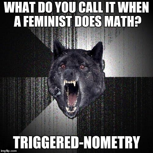 Insanity Wolf Meme | WHAT DO YOU CALL IT WHEN A FEMINIST DOES MATH? TRIGGERED-NOMETRY | image tagged in memes,insanity wolf | made w/ Imgflip meme maker