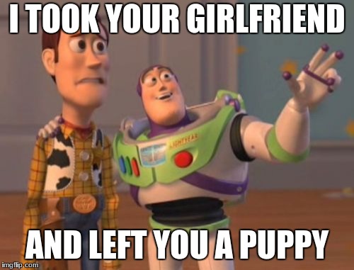 X, X Everywhere | I TOOK YOUR GIRLFRIEND; AND LEFT YOU A PUPPY | image tagged in memes,x x everywhere | made w/ Imgflip meme maker