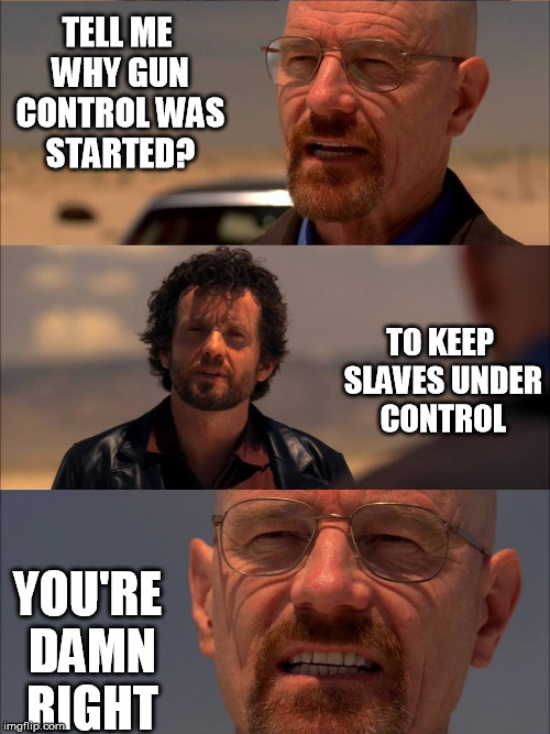 Breaking Bad - Say My Name | TELL ME WHY GUN CONTROL WAS STARTED? TO KEEP SLAVES UNDER CONTROL; YOU'RE DAMN RIGHT | image tagged in breaking bad - say my name | made w/ Imgflip meme maker