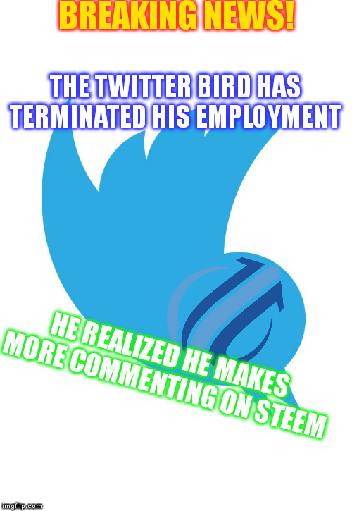 Twitter | BREAKING NEWS! THE TWITTER BIRD HAS TERMINATED HIS EMPLOYMENT; HE REALIZED HE MAKES MORE COMMENTING ON STEEM | image tagged in twitter | made w/ Imgflip meme maker