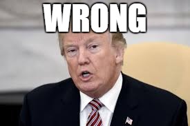 WRONG | image tagged in donald trump | made w/ Imgflip meme maker