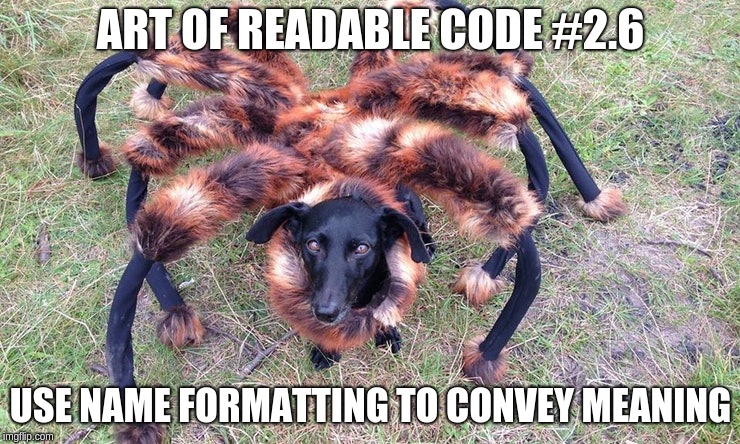 ART OF READABLE CODE #2.6; USE NAME FORMATTING TO CONVEY MEANING | image tagged in spiderdog | made w/ Imgflip meme maker