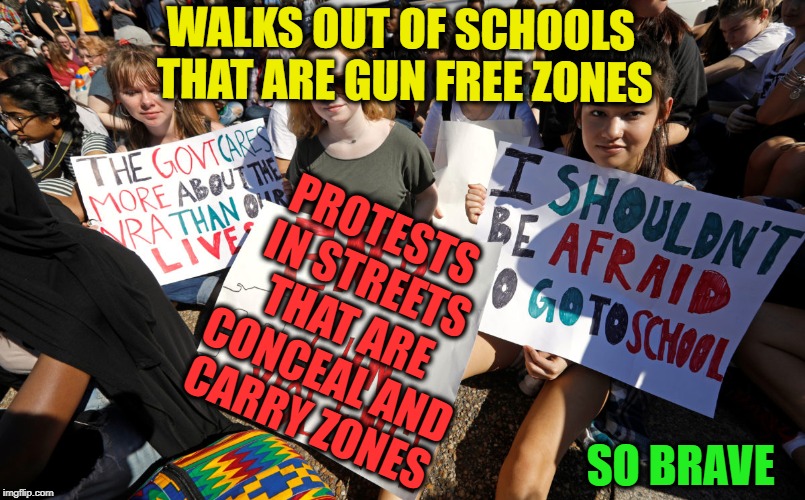 Kids that think they're smart should stayin school  | WALKS OUT OF SCHOOLS THAT ARE GUN FREE ZONES; PROTESTS IN STREETS THAT ARE CONCEAL AND CARRY ZONES; SO BRAVE | image tagged in gun free zone,gun laws,memes,funny,liberal logic | made w/ Imgflip meme maker