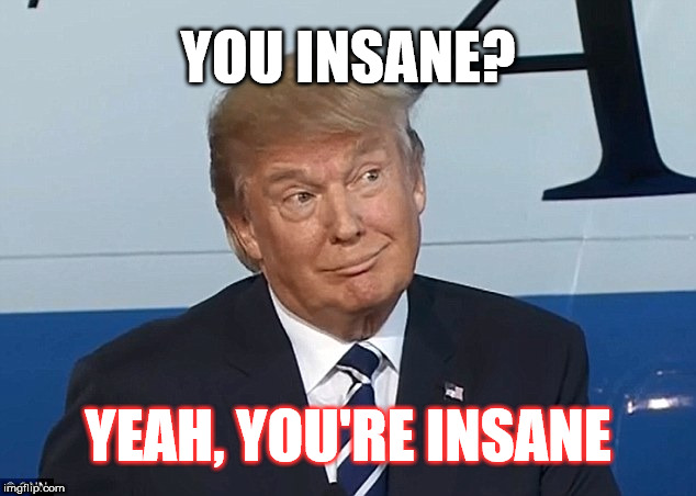 Dotard Trump Insane | YOU INSANE? YEAH, YOU'RE INSANE | image tagged in donald trump smirk | made w/ Imgflip meme maker