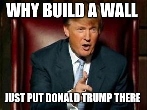 Donald Trump | WHY BUILD A WALL; JUST PUT DONALD TRUMP THERE | image tagged in donald trump | made w/ Imgflip meme maker