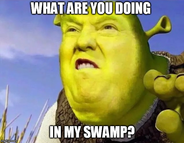 trumpShrek | WHAT ARE YOU DOING; IN MY SWAMP? | image tagged in trumpshrek | made w/ Imgflip meme maker