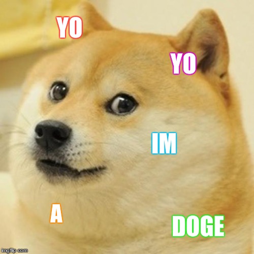Doge Meme | YO; YO; IM; A; DOGE | image tagged in memes,doge | made w/ Imgflip meme maker