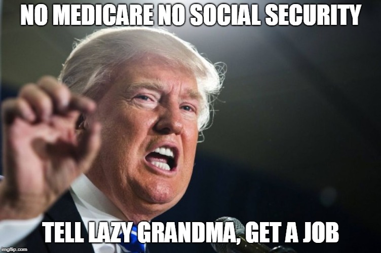 donald trump | NO MEDICARE NO SOCIAL SECURITY; TELL LAZY GRANDMA, GET A JOB | image tagged in donald trump | made w/ Imgflip meme maker