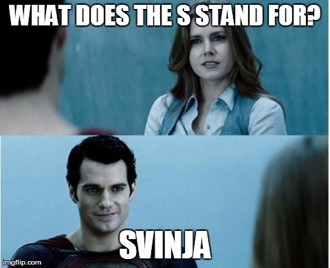 WHAT DOES THE S STAND FOR? SVINJA | image tagged in svinja | made w/ Imgflip meme maker