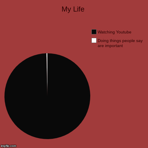 My Life | Doing things people say are important, Watching Youtube | image tagged in funny,pie charts | made w/ Imgflip chart maker
