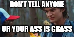Steve your ass is grass | DON'T TELL ANYONE OR YOUR ASS IS GRASS | image tagged in steve your ass is grass | made w/ Imgflip meme maker