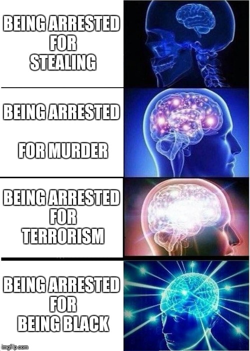 Expanding Brain | BEING ARRESTED FOR STEALING; BEING ARRESTED FOR MURDER; BEING ARRESTED FOR TERRORISM; BEING ARRESTED FOR BEING BLACK | image tagged in memes,expanding brain | made w/ Imgflip meme maker