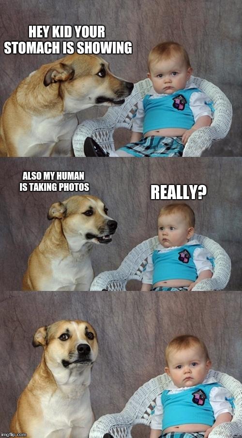 Dad Joke Dog | HEY KID YOUR STOMACH IS SHOWING; ALSO MY HUMAN IS TAKING PHOTOS; REALLY? | image tagged in memes,dad joke dog | made w/ Imgflip meme maker